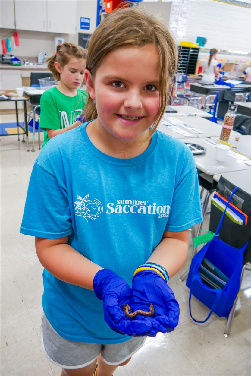Students study earthworms in class